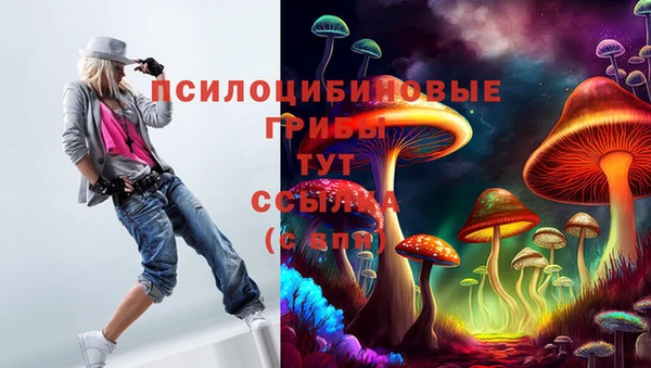 индика Абдулино