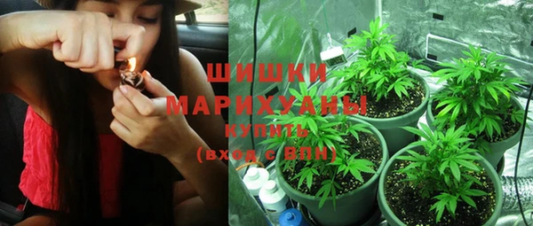 индика Абдулино