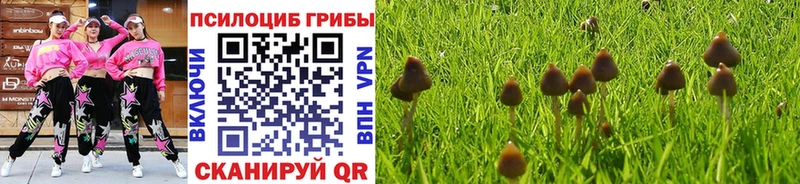 где можно купить   Ишимбай  Галлюциногенные грибы ЛСД 